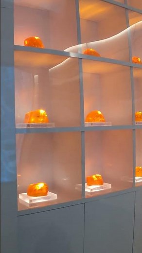 Looking around the HAMMOND CREATION LAB at JURASSIC WORLD #JurassicWorld #Melbourne