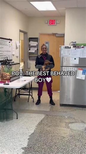 Dogs at the Vet: Hilarious Reactions and Dramatic Moments
