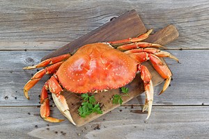 Belinda Jensen’s Crab-Swiss Bites