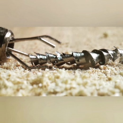 #macro#macroartproduction #macroart#macroworld#macrofying #macrophoto#macrophotography #macroart#macrophotos#macrovideography