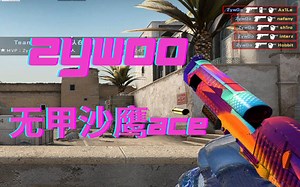 【CSGO第一视角】OMG！Zywoo无甲沙鹰ACE红星！逆天五杀！