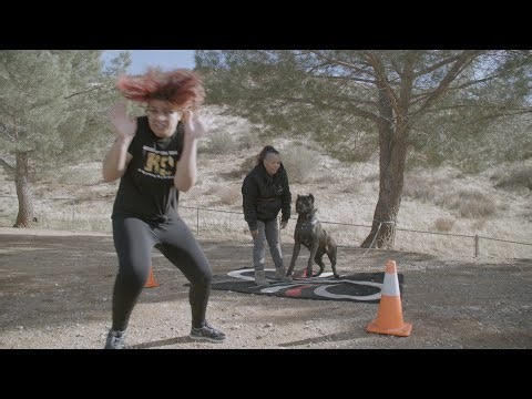 Women handling powerful dogs: Cane Corso