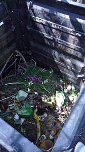 Composting 101: It's So Easy, You Can't Mess It Up