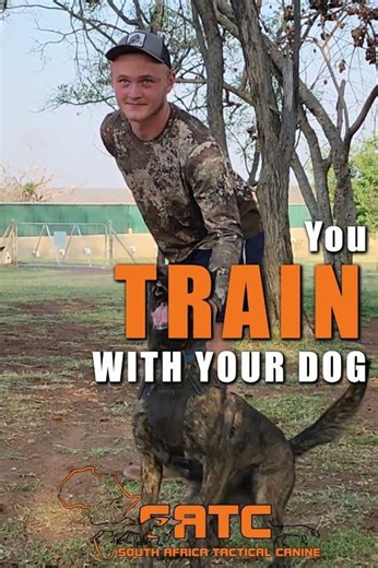 ⚠️ Would your dog protect your family if it mattered most?