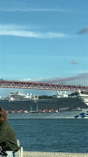 The love boat#Princess cruise#travelshorts#adventure