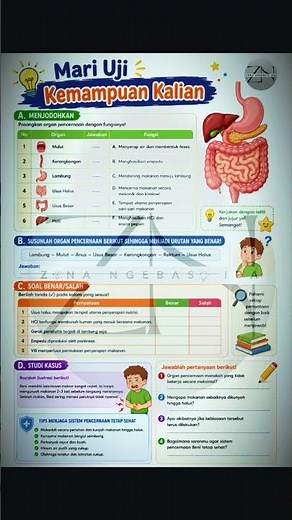 Lembar Kerja Sistem dan Fungsi Tubuh Manusia.. (Sistem Pencernaan, Peredaran darah, Pernapasan)