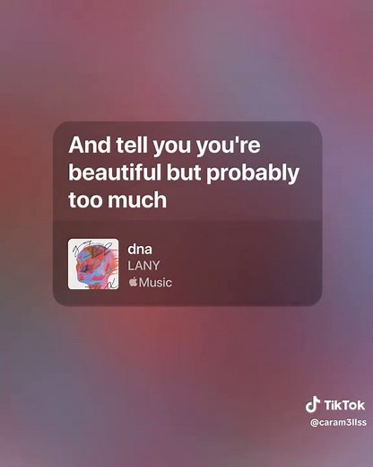 Understanding the Lyrics of DNA by LANY