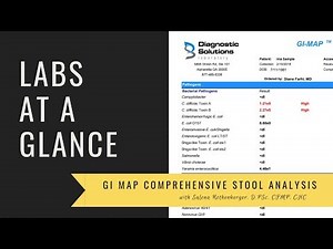How to understand the GI Map Stool Test | The Functional Perspective