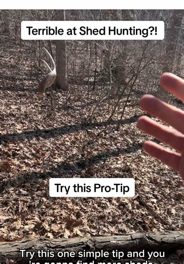 Simple Shed Hunting Tip for Bowhunters