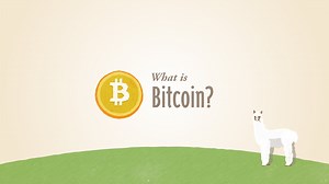 Bitcoin, A Peer to Peer Currency