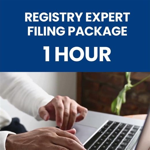 Incorporate Online in Ontario at $395.