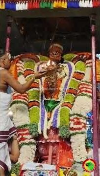 திருமயிலை கபாலீஸ்வரர் பங்குனி பெருவிழா புறப்பாடு #shorts #devotional #mayilai #sivantemple