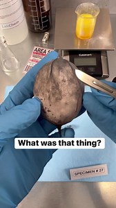 1.1M views · 6.5K reactions | They don’t want you to know this!  #science #secret #alien #area51 #crazy | Our Life is Magic | Facebook