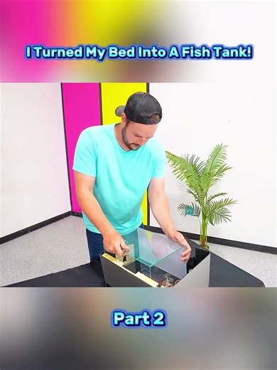 Turning My Bed Into A Fish Tank: The Ultimate DIY Challenge!