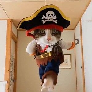 265K views · 5.4K reactions | Ahoy there! | The Brightside | Facebook