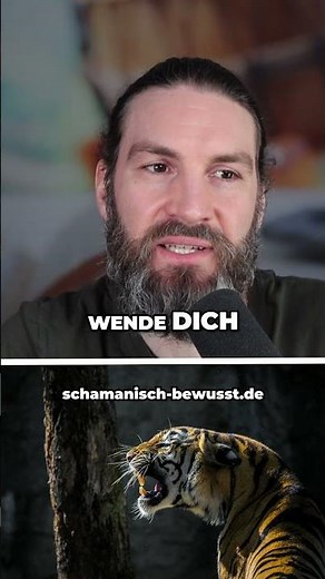 Krafttier Tiger Entdecke deine Stärke