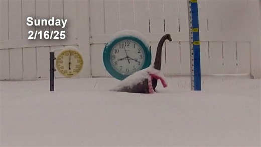 Snowy week captured in time-lapse video in Ohio
