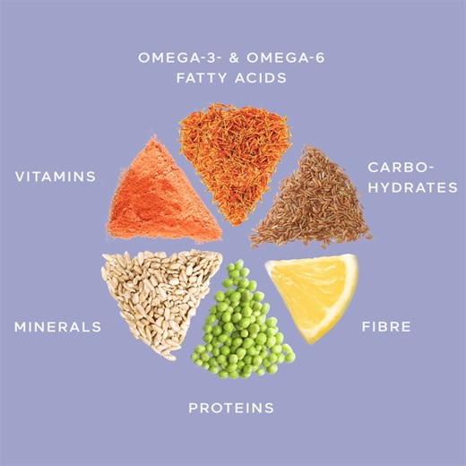 Das COMPLETE d-eat wurde neu formuliert und enthält ab sofort fermentierte Rohstoffe wie das Reis- und Erbsenprotein. 💜 Neben diesen neuen high-end Ingredients enthält das Produkt noch weitere tolle Naturtalente wie zum Beispiel zahlreiche Mineralstoffe, Vitamine oder Kohlenhydrate. 🤩 | RINGANA