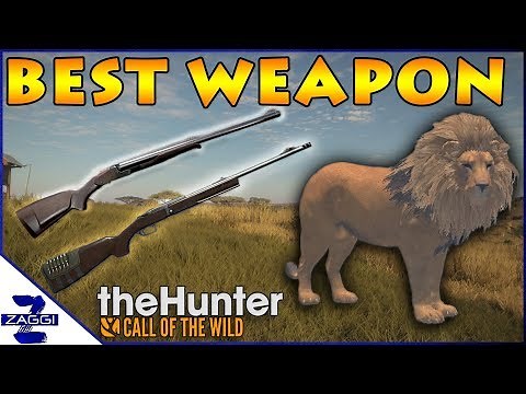 Best Weapon for Lions TheHunter Call of the Wild