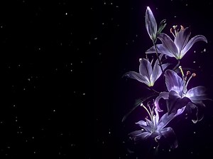 Explore the Depths of 'On Dat Bxtch' by Lumi Athena