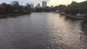 All aboard! We’re cruising down Fort Lauderdale’s New River 7 days a week on our 90-minute sightseeing cruise departing daily at Noon and 2:30pm. . . . . #junglequeenriverboat #fortlauderdale #visitlauderdale #cruising #explore #exploreflorida #thingstodoinmiami #miami #palmbeach #parklandflorida #coralsprings #weston #familytime #familyfriendly #springbreak #summervibes #southflorida #staysaltyflorida #saltlife #floridaattractions #vacaymode #tourist #thirstythursday | Jungle Queen