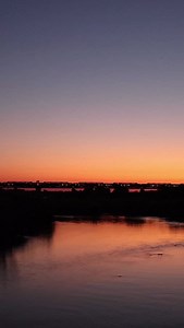 #LiveYourWild #Wildbackyard | South African National Parks