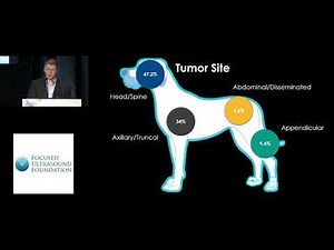 Pavel Yarmolenko - Non-invasive treatment with MR-HIFU for canine soft tissue sarcoma (2018)