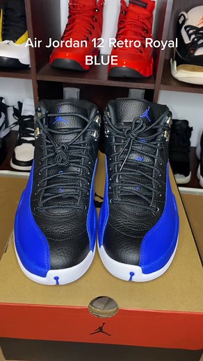 AIR JORDAN 12 Royal BLUE FOLLOW FOR MORE