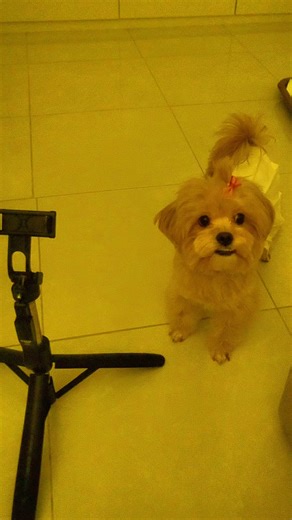 Makin Kesel Makin Lucu: Aksi Baby Nacha