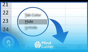 Mind Luster - Learn How to Hide Sheets in Excel