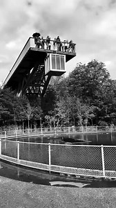 741K views · 82K reactions | #Florida #miami #orlando #texas #love #southflorida #miamibeach #travel #floridalife #photography #beach #atlanta #nature #realestate #instagood #music #losangeles #jacksonville #chicago #canada #fortlauderdale #explorepage #fashion #explore #art #disneyworld #love | Osije relationship spell | Facebook