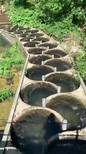 Fish Ladders, A Genius Structure That Helps Fish Swim Against The Current Follow Our Social Media: IG: @el_nin0_tv TT: el_nino_tv FB: El Nino TV YT: EL NINO TV #fish #fishing #fishingvideos #fishladder #river #salmon #dam #animals #animalsfacts #viral #viralvideo #viralreels #trending #trendingreels #reels #reelsviral #fyp #fypreels #fypジ #fypシ❤️💞❤️ | El Nino TV
