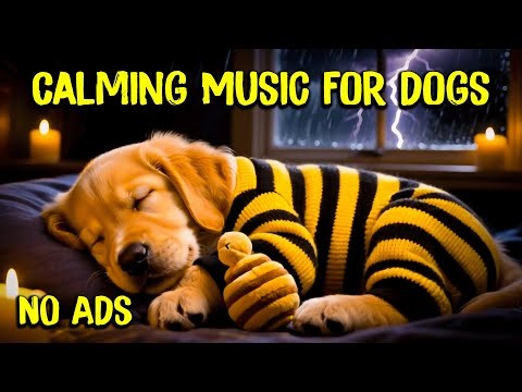 12 HOURS Dog Sleep Calming Music 🐾💖 Steady Rain Night ⛈️ Comfort for Anxious Dogs