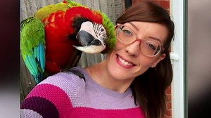 Meet the multi-coloured Macaw who's a social media hit
