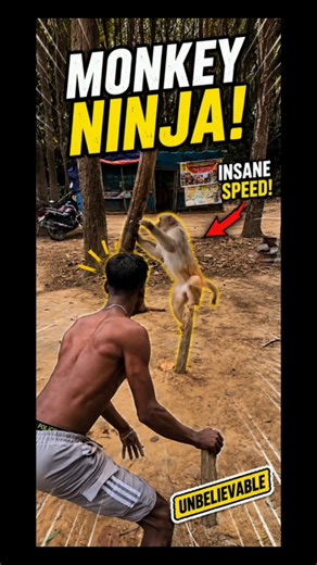 "Monkey’s Crazy Move Caught On Camera 😱🐒" #viral #funny #explore #trending #comedy #youtubeshorts