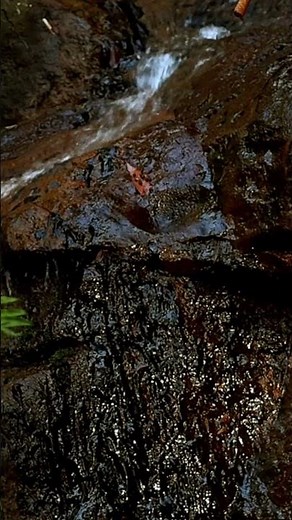 Close-Up Water Over Rocks, 20 Second Waterfall Nature Short