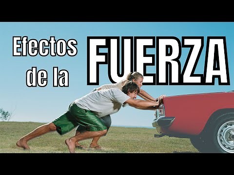 EFECTOS DE LA FUERZA en los objetos / video para primaria
