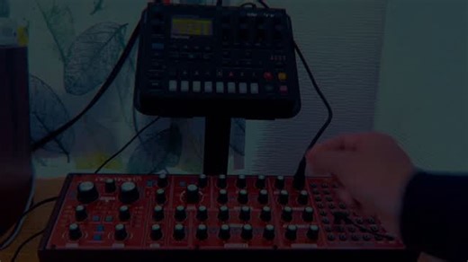 David de la Luz on Instagram: "Synth Diaries: Behringer Neutron first run. Sequenced and processed with Digitone."