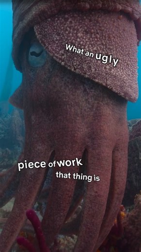 4M views · 59K reactions | morgan freeman giggling in these LIFE ON OUR PLANET bloopers is something i didn't know i needed until now : LIFE ON OUR PLANET | Strong Black Lead | Facebook