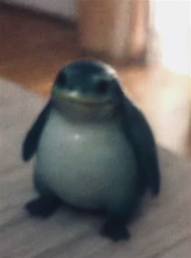 Seether: The Ultimate Dad Rock Vibe for Gym Sessions