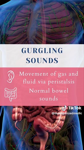Let's learn bowel sounds together 💩🩺 #bowelsounds #medicina #medstudent #medicine #studyhacks #nursing #nurse #examtips #medicalstudent Understanding bowel sounds in medical practice Exploring the world of bowel sounds Bowel sounds: What you need to know Listening to bowel sounds: A medical perspective Demystifying bowel sounds for healthcare professionals Bowel sound assessment made easy Fun facts about bowel sounds Common misconceptions about bowel sounds Unusual bowel sounds: When to be con
