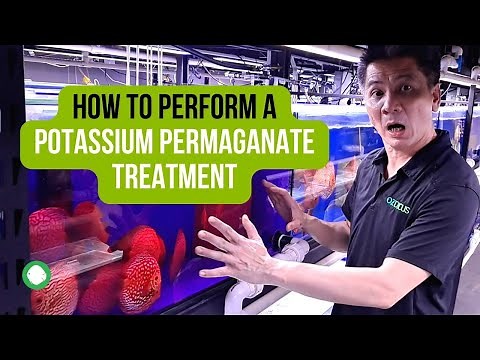 How to perform a Potassium Permanganate treatment - OZ Discus