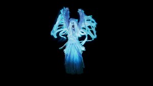 If you want to have the most ghosts as a Halloween host then check out the 4 new spooky spirits in our latest release, Ghostly Apparitions 4! https://atmosfx.com/products/ghostly-apparitions-4 | AtmosFX