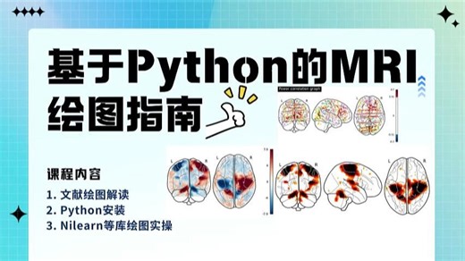 基于Python的MRI绘图指南