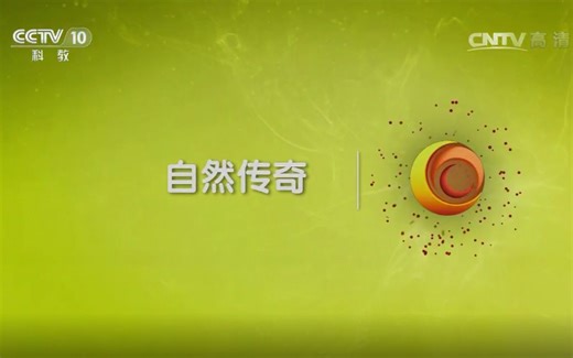 【CCTV】自然传奇 角马大迁徙