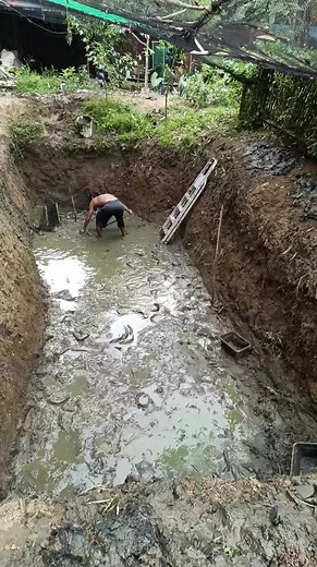 Harvest Tayo ng catfish | Menchu Joy Vlogs