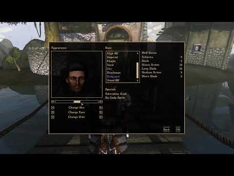 We play Morrowind with OpenMW Total Overhaul mods