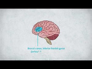 失讀症. 閱讀障礙