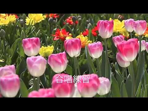 交響曲第九番 合唱練習 アルト4 ベートーヴェン