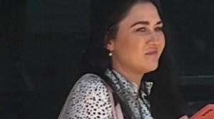 Two dogs, a wine bottle and six times over the limit